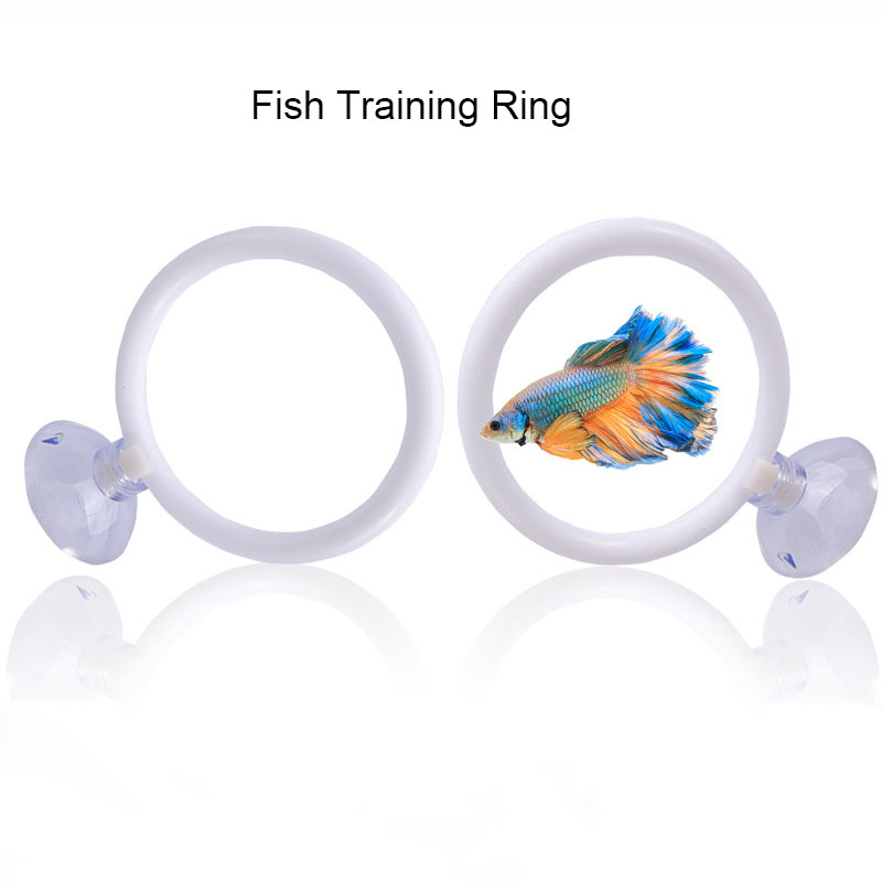 1pcs Plastic Fish Tank Aquariu - Gymnastic Ring ulasan dan harga
