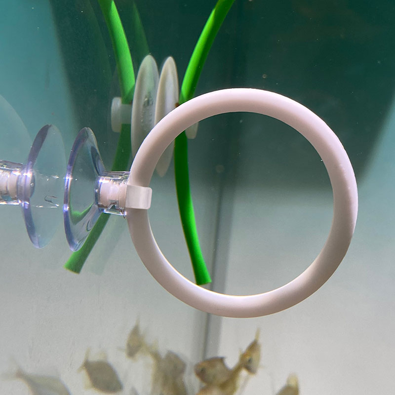 1pcs Plastic Fish Tank Aquariu - Gymnastic Ring ulasan dan harga